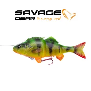 4D LineThru Perch - BIG PIKE PROMO