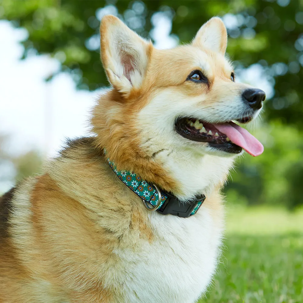 Academy Pink/Navy - Dog Collar