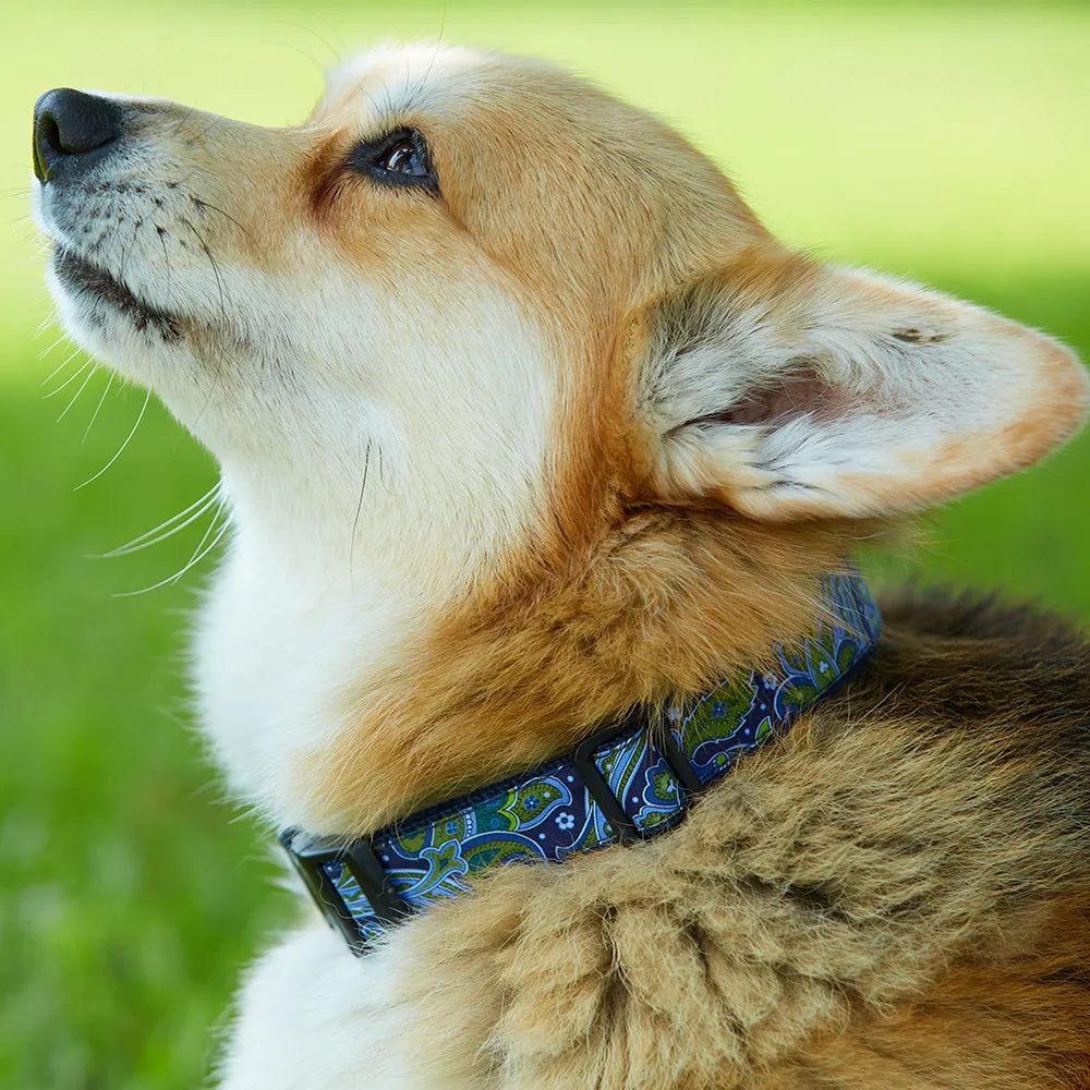 Academy Pink/Navy - Dog Collar