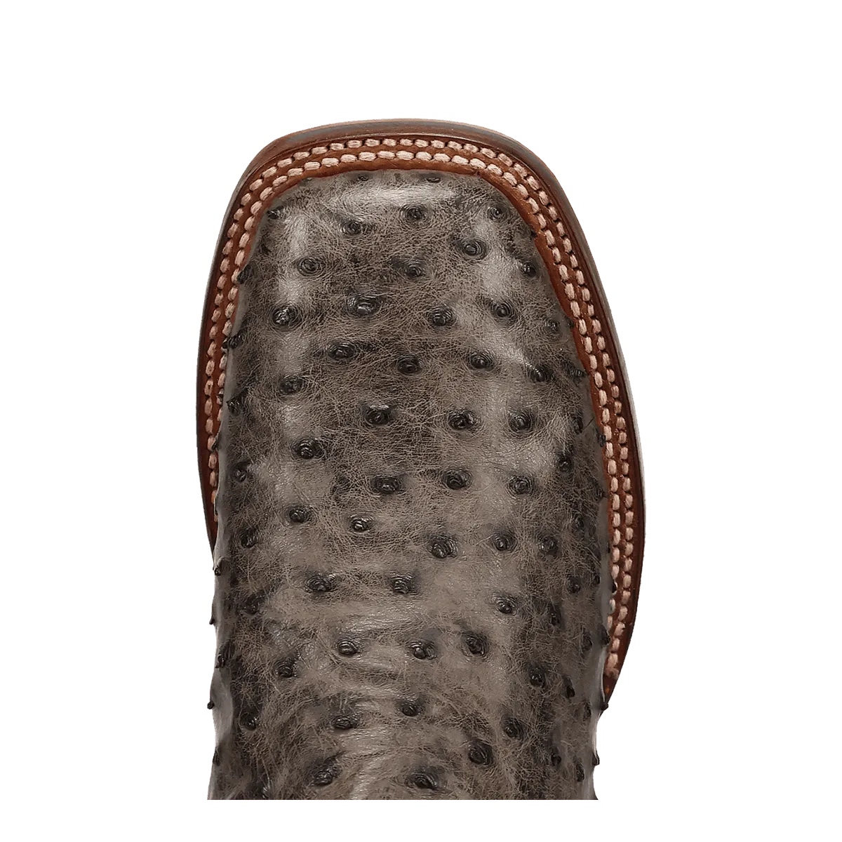 Dan Post Men's Alamosa Full Quill Ostrich Boot DP5013