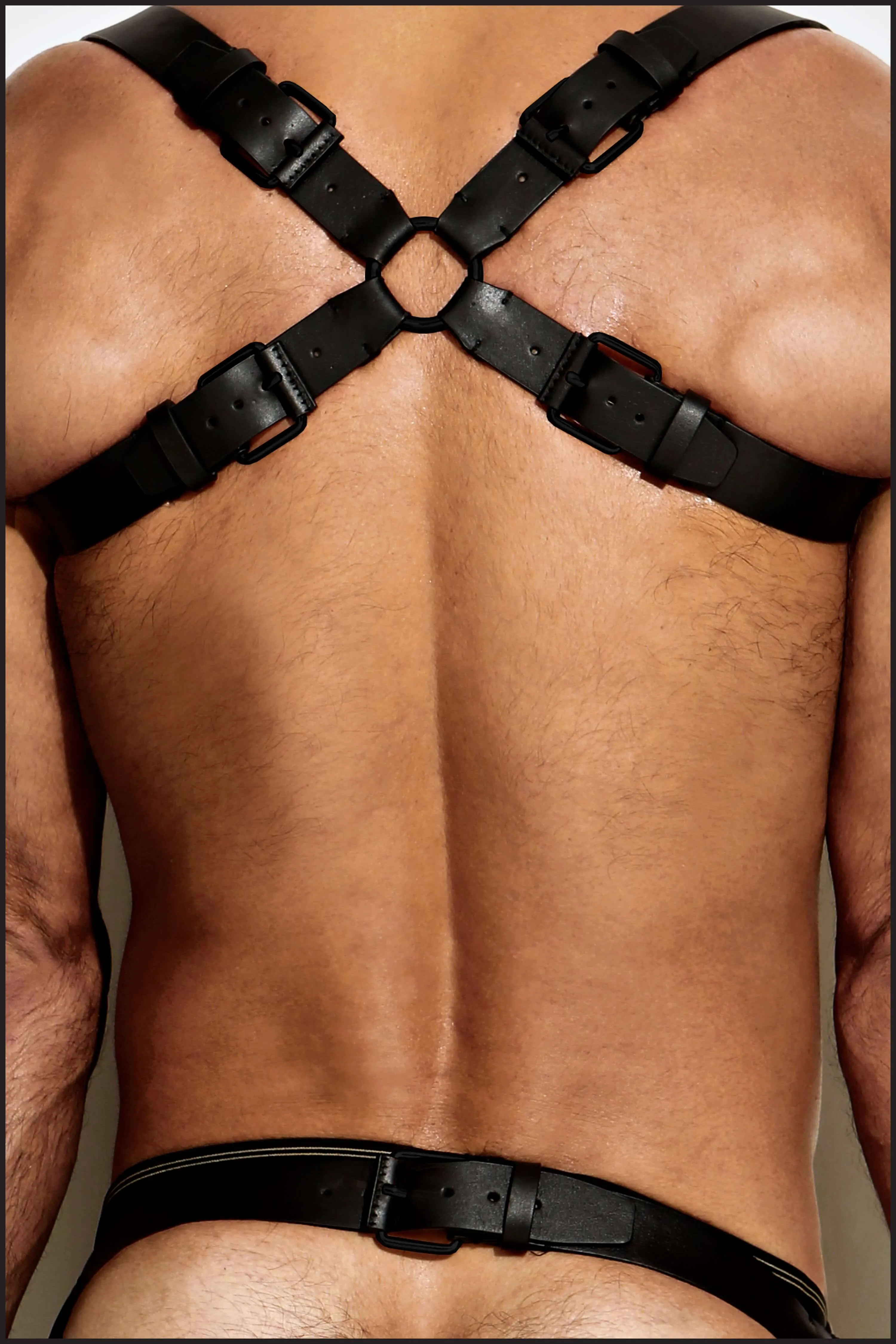 Leather Shoulder Harness