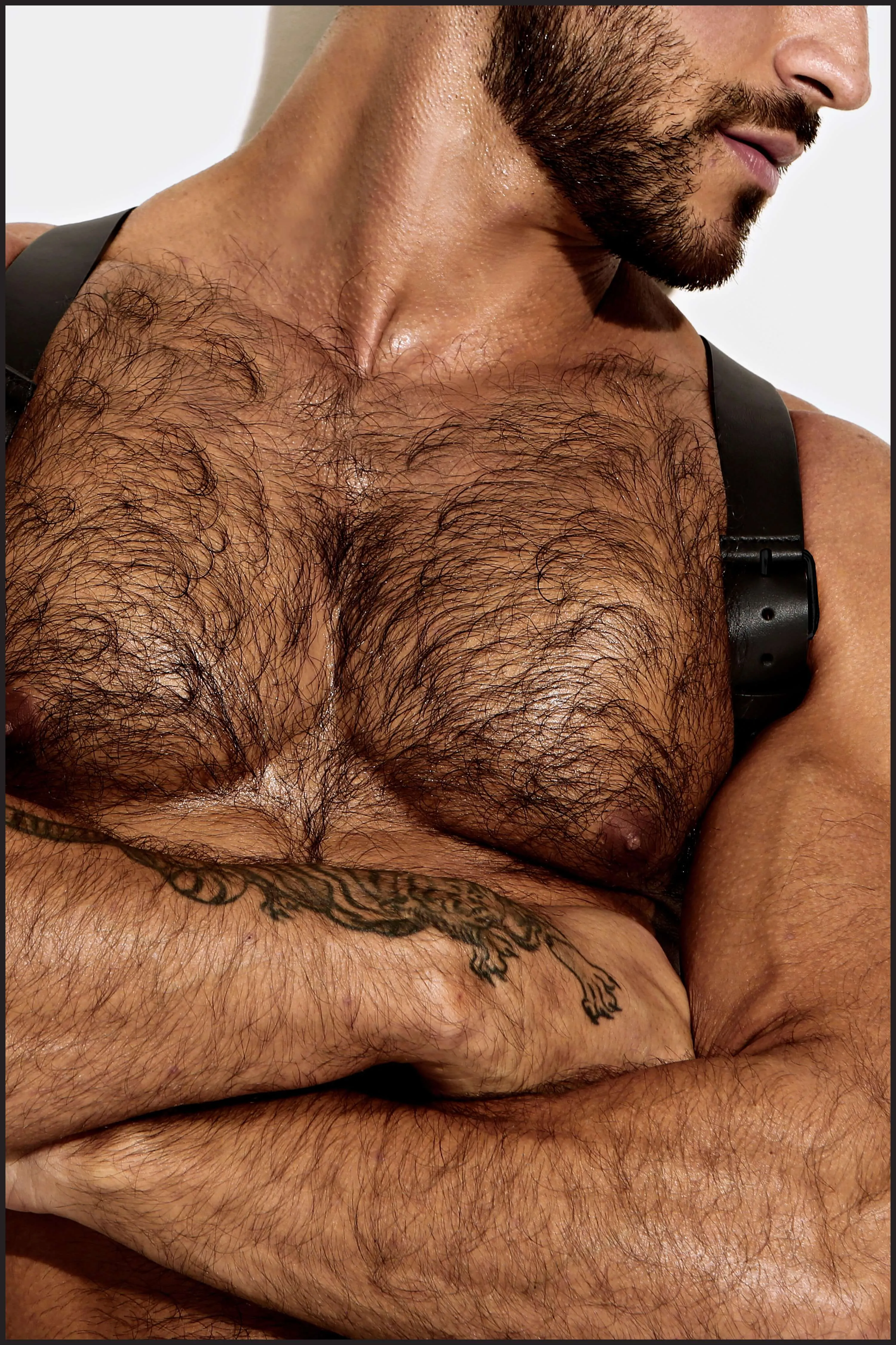 Leather Shoulder Harness