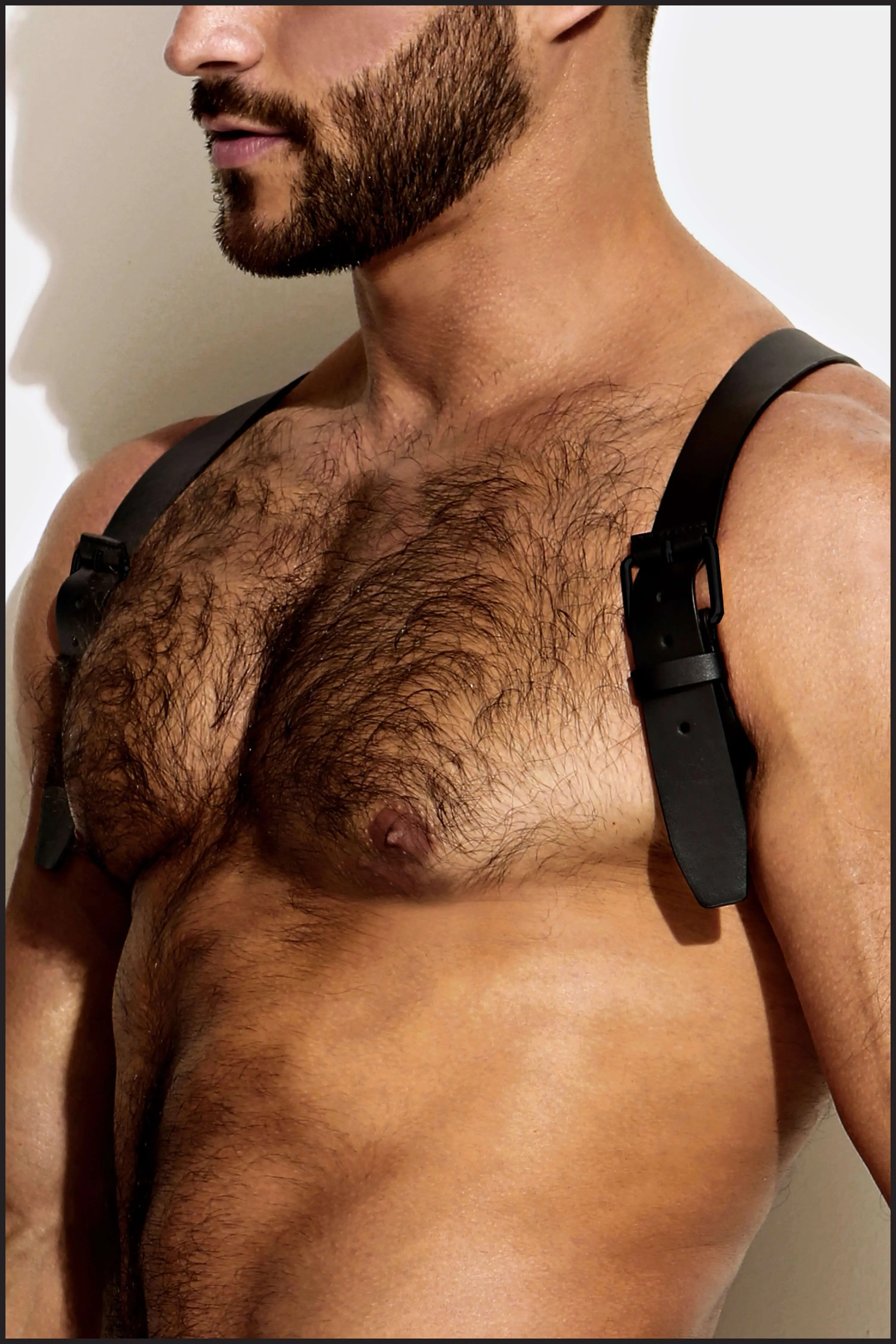 Leather Shoulder Harness