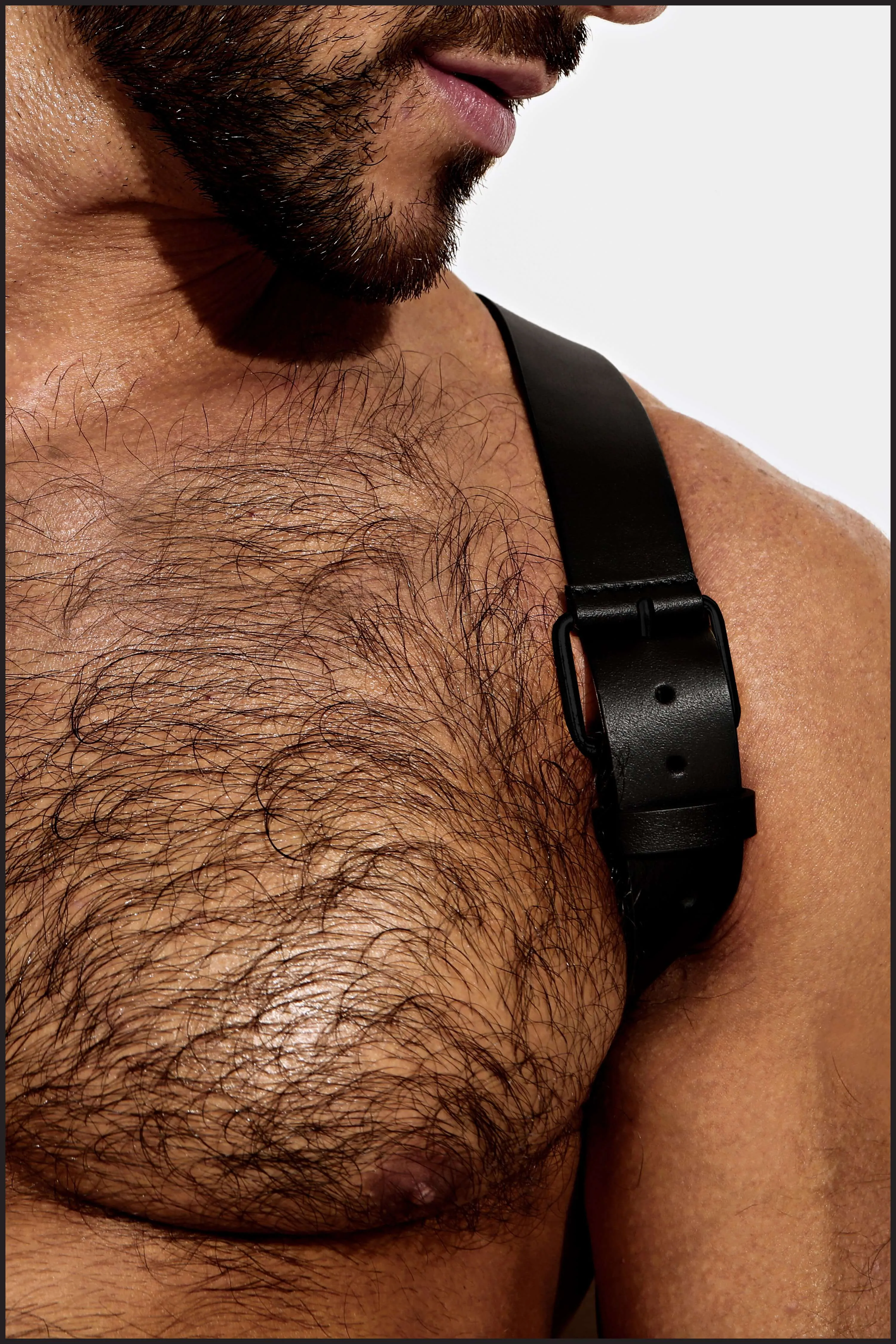 Leather Shoulder Harness
