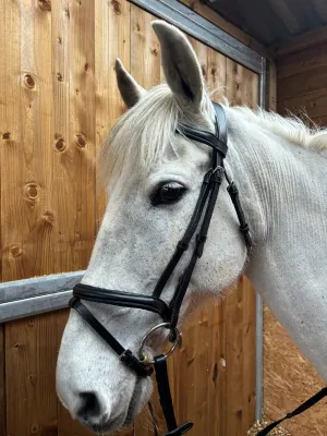 New soft comfort bridles in black ❣️