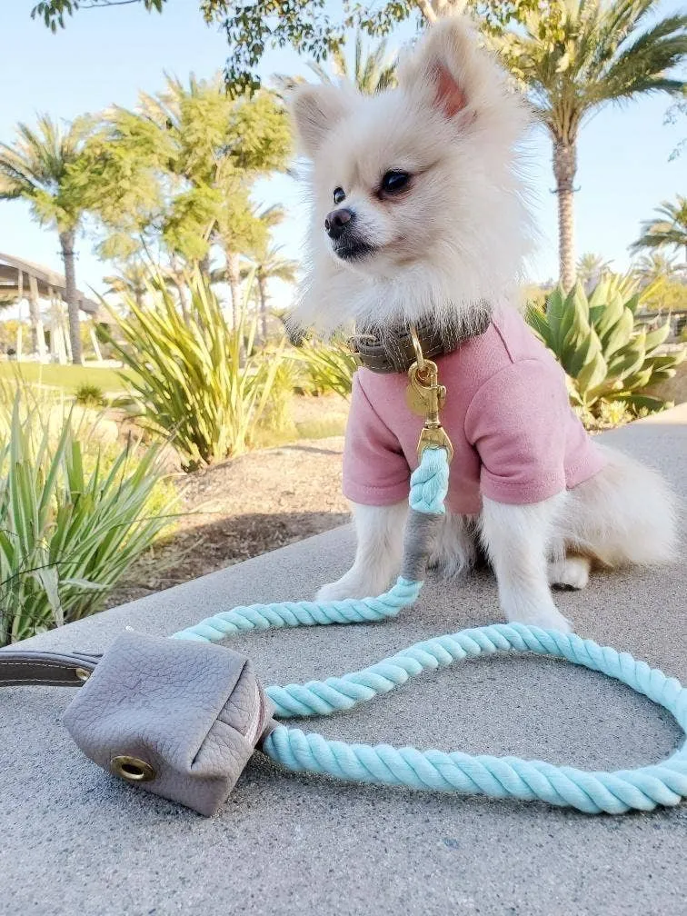 PoisePup - COLLAR - DESERT MINT