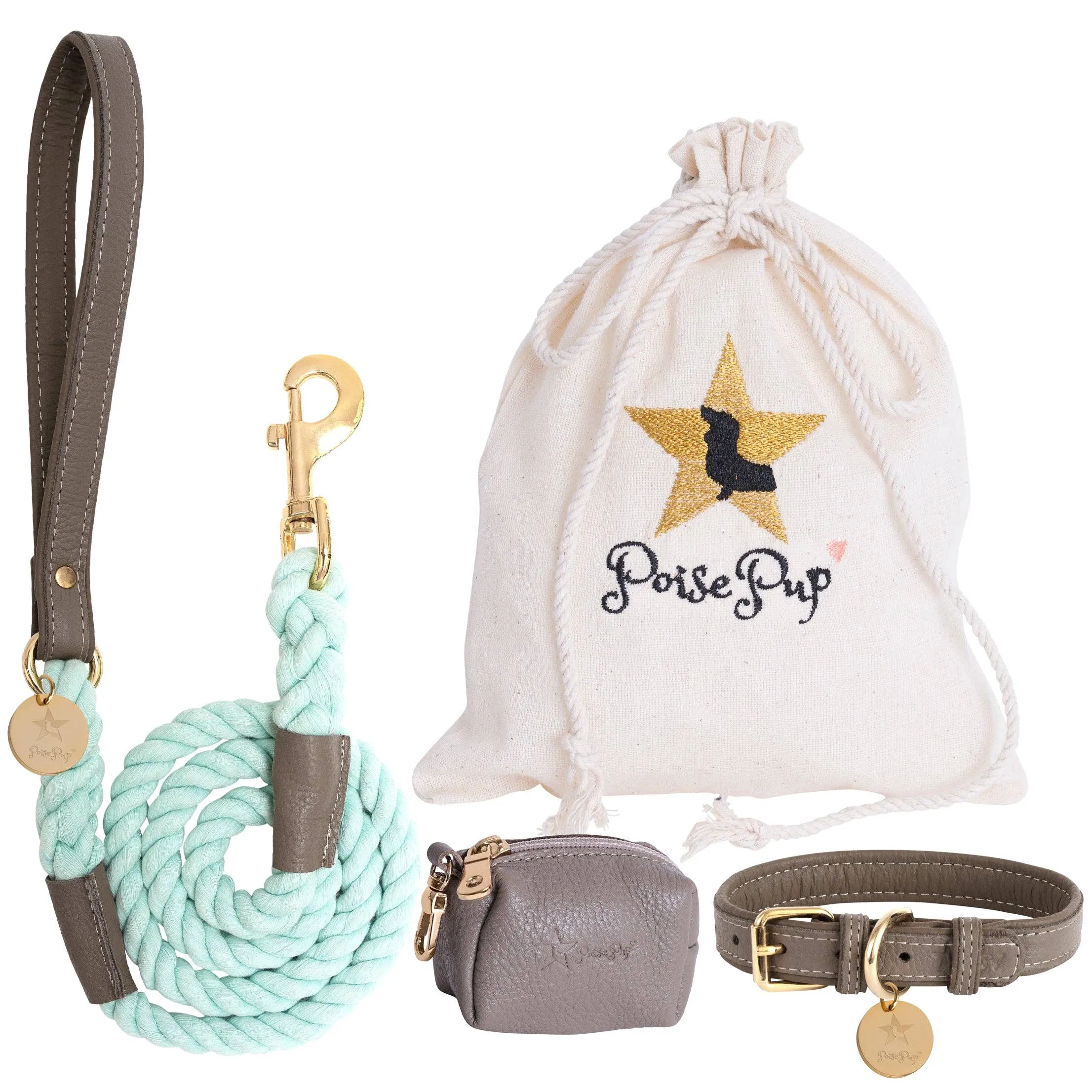 PoisePup - COLLAR - DESERT MINT