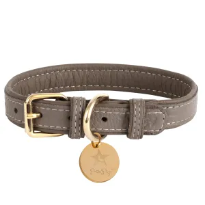 PoisePup - COLLAR - DESERT MINT