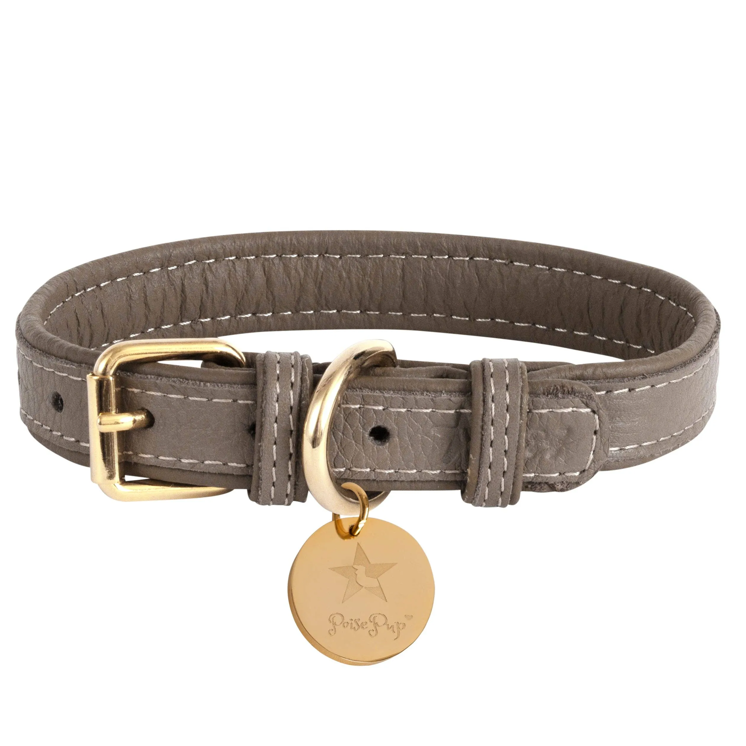 PoisePup - COLLAR - DESERT MINT