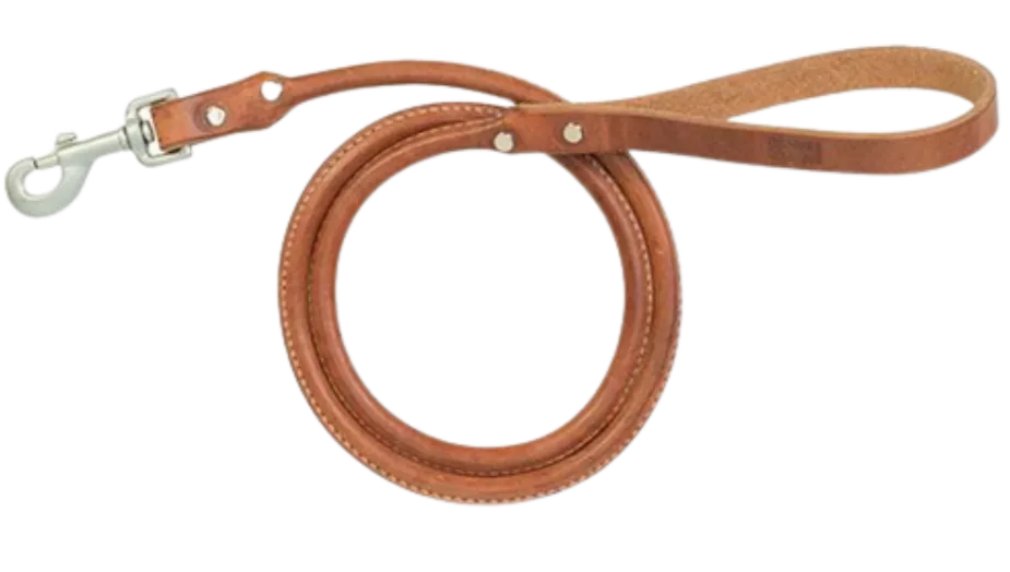 Rolled Harness Leather Dog Leash