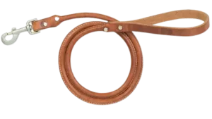 Rolled Harness Leather Dog Leash