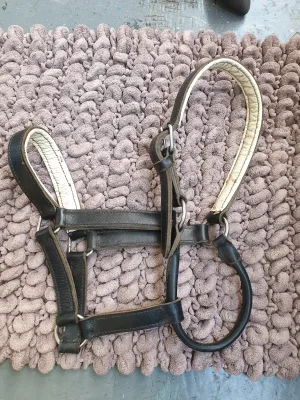 Used black leather cob size headcollar FREE POSTAGE☆